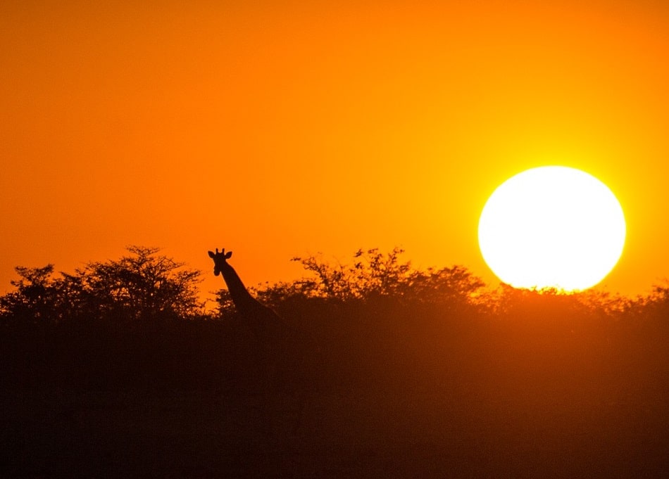 The sun setting in Africa